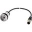 Pushbutton, Flat, momentary, 1 N/O, Cable (black) with M12A plug, 4 pole, 0.2 m, Without button plate, Bezel: titanium thumbnail 4