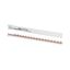 Horizontal busbar, 10mm², 1P+N thumbnail 2