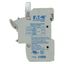 Fuse-holder, low voltage, 50 A, AC 690 V, 14 x 51 mm, 3P, IEC thumbnail 27