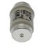 Fuse-link, low voltage, 80 A, AC 500 V, D4, gR, DIN, IEC, fast-acting thumbnail 22