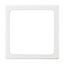 1716-20 CoverPlates (partly incl. Insert) carat® Platinum thumbnail 3