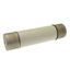 Oil fuse-link, medium voltage, 100 A, AC 3.6 kV, BS2692 F01, 254 x 63.5 mm, back-up, BS, IEC, ESI, with striker thumbnail 11