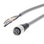 Sensor cable, M12 straight socket (female), 5-poles, A coded, PVC stan thumbnail 3