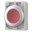 Illuminated pushbutton actuator, RMQ-Titan, Flat, momentary, red, Blank, Metal bezel thumbnail 5