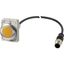 Indicator light, Flat, Cable (black) with M12A plug, 4 pole, 1 m, Lens yellow, LED white, 24 V AC/DC thumbnail 3