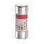 Domestic cartridge fuse - cylindrical type 10.3 x 25.8 - 10 A - w/o indicator thumbnail 1