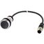 Pushbutton, Flat, momentary, 1 NC, Cable (black) with M12A plug, 4 pole, 0.2 m, black, Blank, Bezel: titanium thumbnail 5