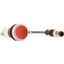 Pushbutton, Flat, momentary, 1 NC, Cable (black) with M12A plug, 4 pole, 0.2 m, red, Blank, Bezel: titanium thumbnail 4