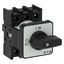 On-Off switch, P1, 40 A, flush mounting, 3 pole, with black thumb grip and front plate thumbnail 34