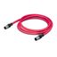 sercos cable M12D plug straight M12D plug straight red thumbnail 3