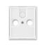 5593E-C02357 01 Double socket outlet with earthing pins, shuttered, with turned upper cavity, with surge protection thumbnail 6