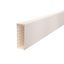WDK60170CW Wall trunking system with base perforation 60x170x2000 thumbnail 1