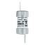 Fuse-link, low voltage, AC 415 V, BS88/F2, 18 x 59 mm, gM, BS thumbnail 17