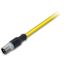 System bus cable M12B plug straight 5-pole yellow thumbnail 2