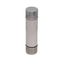 Oil fuse-link, medium voltage, 10 A, AC 12 kV, BS2692 F01, 254 x 63.5 mm, back-up, BS, IEC, ESI, with striker thumbnail 21