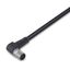 Sensor/Actuator cable M12B socket straight 5-pole thumbnail 1