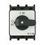 On-Off switch, P1, 25 A, flush mounting, 3 pole, with black thumb grip and front plate thumbnail 30