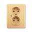 5592G-C02349 D1 Outlet with pin, overvoltage protection ; 5592G-C02349 D1 thumbnail 1