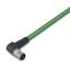 ETHERNET cable M12D plug angled 4-pole green thumbnail 1