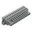 1-conductor female connector CAGE CLAMP® 2.5 mm² gray thumbnail 1