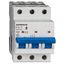 Miniature Circuit Breaker (MCB) AMPARO 10kA, B 32A, 3-pole thumbnail 1
