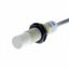 Proximity sensor, capacitive, M18, unshielded, 8 mm, AC, 2-wire, NC, 2 thumbnail 4