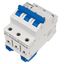 Miniature Circuit Breaker (MCB) AMPARO 10kA, D 16A, 3-pole thumbnail 8