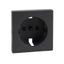 Central plate for SCHUKO socket-outlet insert, shutter, anthracite, System M thumbnail 3