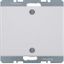 Blind plug with centre plate and screw fastening Arsys polar white, gl thumbnail 3