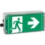 Ex-escape sign luminaires EXIT 2 V-CG-S for zone 2/22, Pictogram: DIN ISO 7010, Arrow: 9 Clock thumbnail 5