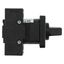 On-Off switch, P1, 40 A, flush mounting, 3 pole + N, with black thumb grip and front plate thumbnail 26