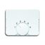 1794-24G CoverPlates (partly incl. Insert) carat® Studio white thumbnail 2