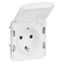 Socket outlet Plexo IP 55 antibacterial - German std - 2P+E-modular-Artic white thumbnail 1