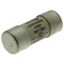 MFH 10x38 4 Pole Fuse link indicator thumbnail 3