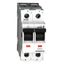 Main Load-Break Switch (Isolator) 40A, 2-pole thumbnail 1