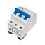 Miniature Circuit Breaker (MCB) AMPARO 10kA, D 40A, 3-pole thumbnail 11