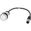 Pushbutton, flat, maintained, white, 1 N/O, with cable 1m and M12A plug thumbnail 5