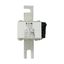 Fuse-link, high speed, 900 A, AC 690 V, DIN 2, 61 x 77 x 138 mm, aR, DIN, IEC, single indicator thumbnail 11