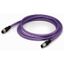CANopen/DeviceNet cable M12A socket straight M12A plug straight violet thumbnail 2