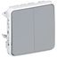 Switch Plexo IP 55 - 2 gang 2-way - 10 AX - 250 V~ - modular - grey thumbnail 2
