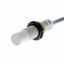 Proximity sensor, capacitive, M18, unshielded, 8 mm, AC, 2-wire, NC, 2 thumbnail 3