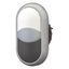 Double actuator pushbutton, RMQ-Titan, Actuators and indicator lights non-flush, momentary, White lens, white, black, Blank, Bezel: titanium thumbnail 2