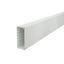 WDKH-60150LGR Wall trunking system halogen-free 60x150x2000 thumbnail 1