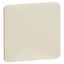 Blanking plate, white, NL H 80.677 W thumbnail 1