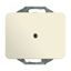 1803-22G CoverPlates (partly incl. Insert) carat® ivory thumbnail 3