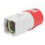 SYSTEM ADAPTOR - FROM INDUSTRIAL TO DOMESTIC - SOCKET-OUTLET 3P+N+E 16A 400V ac 50/60HZ - FITTING FOR 2 MODULE SYSTEM RANGE thumbnail 2
