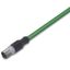ETHERNET cable M12D plug straight 4-pole green thumbnail 1
