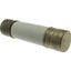 Oil fuse-link, medium voltage, 35.5 A, AC 12 kV, BS2692 F01, 63.5 x 254 mm, back-up, BS, IEC, ESI, with striker thumbnail 3