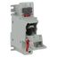 Fuse-holder, low voltage, 50 A, AC 690 V, 14 x 51 mm, 1P, IEC thumbnail 31