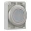 Illuminated pushbutton actuator, RMQ-Titan, Flat, maintained, White, Blank, Metal bezel thumbnail 13